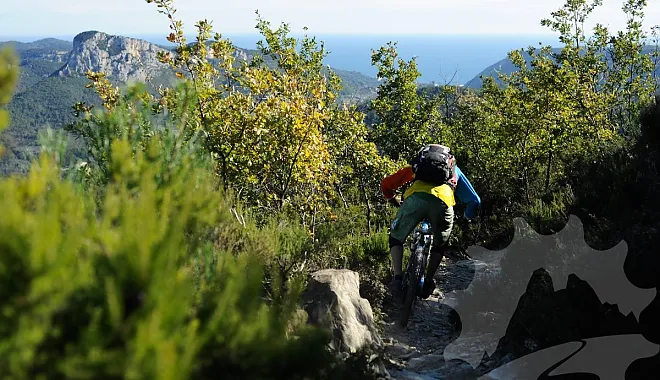 Mountainbike Freeride Tour: Freeride Halfpipe