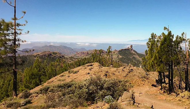 Mountainbike Enduro Tour: Roque Nublo Apolonio Trail