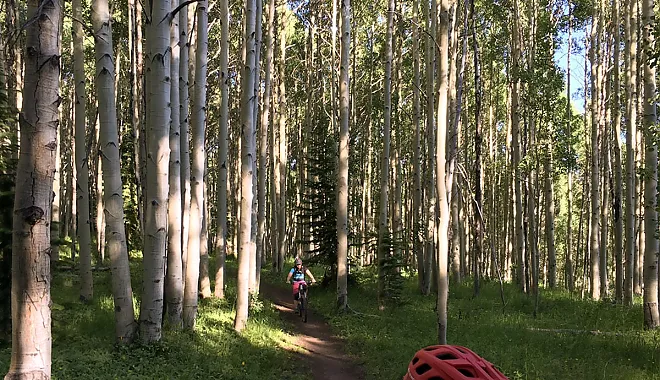 Mountainbike AllMountain Tour: Snodgrass Lupine Combo