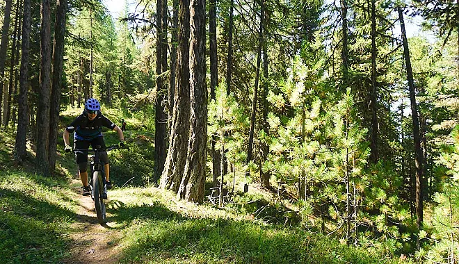 Mountainbike Freeride Tour: Gspon - Moosalp Trailkombo