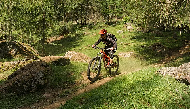 Mountainbike Freeride Tour: Harbe Line - Leitenberg Trail