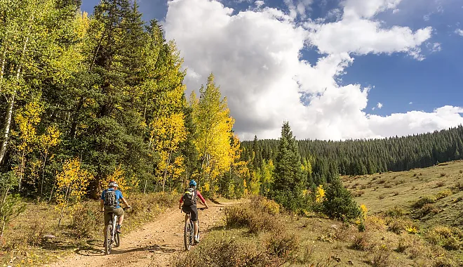 Mountainbike Enduro Tour: Doktor Park Trail