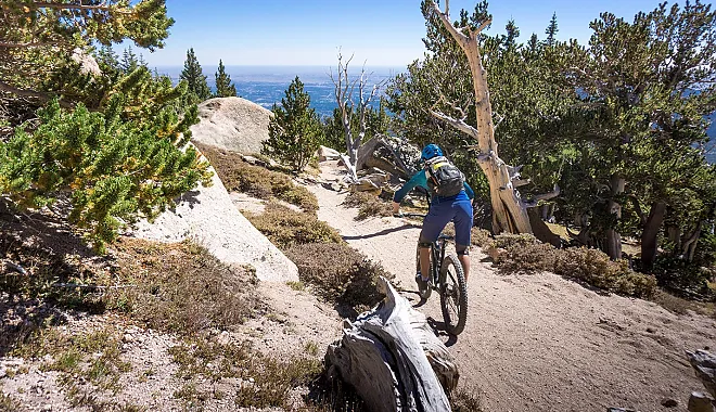 Mountainbike Freeride Tour: Pikes Peak Top of Colorado