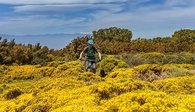 Mountainbike AllMountain Tour: Monte Capanne Loop