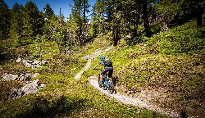 Mountainbike Enduro Tour: Chaligne Enduro