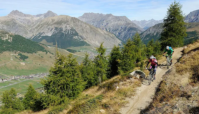 Mountainbike  Tour: MTB Livigno Trails und Bikeparks