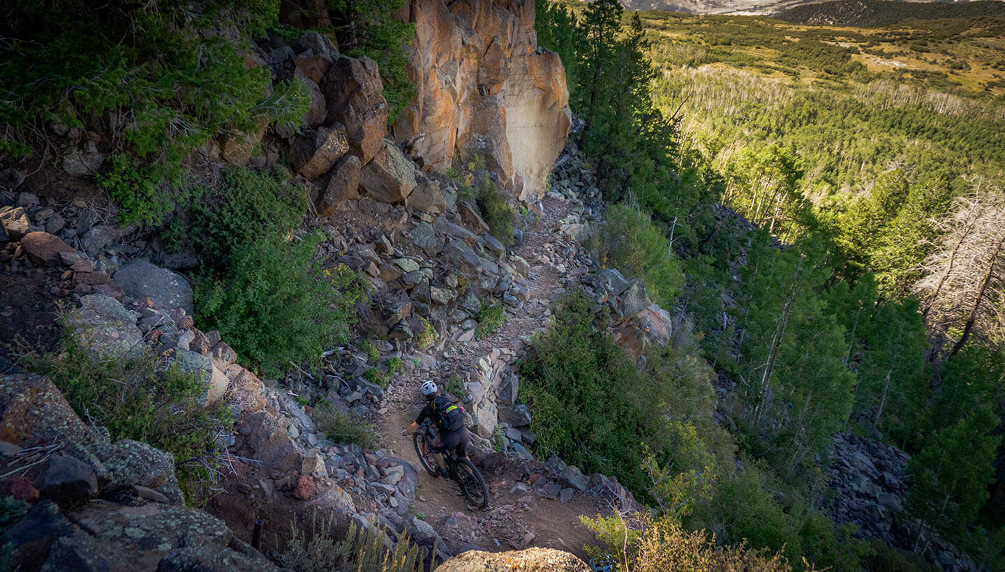 Palisade Plunge Extrem