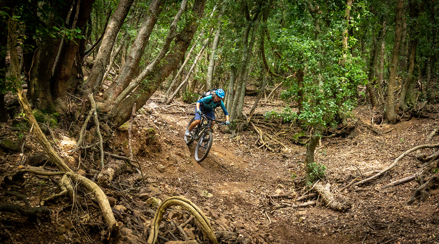 Blütenmeer mit Ausblick