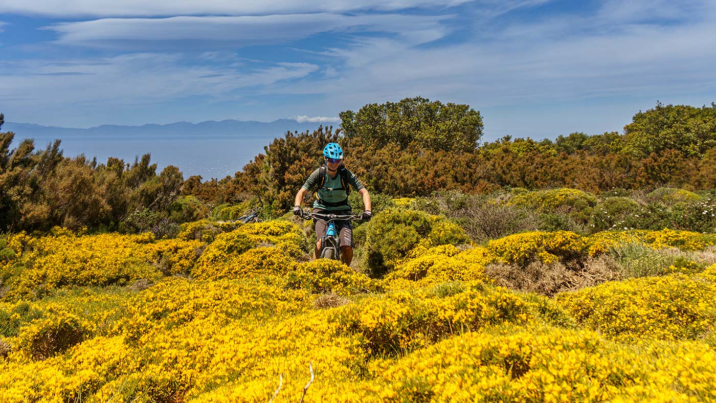 Blütenmeer mit Ausblick