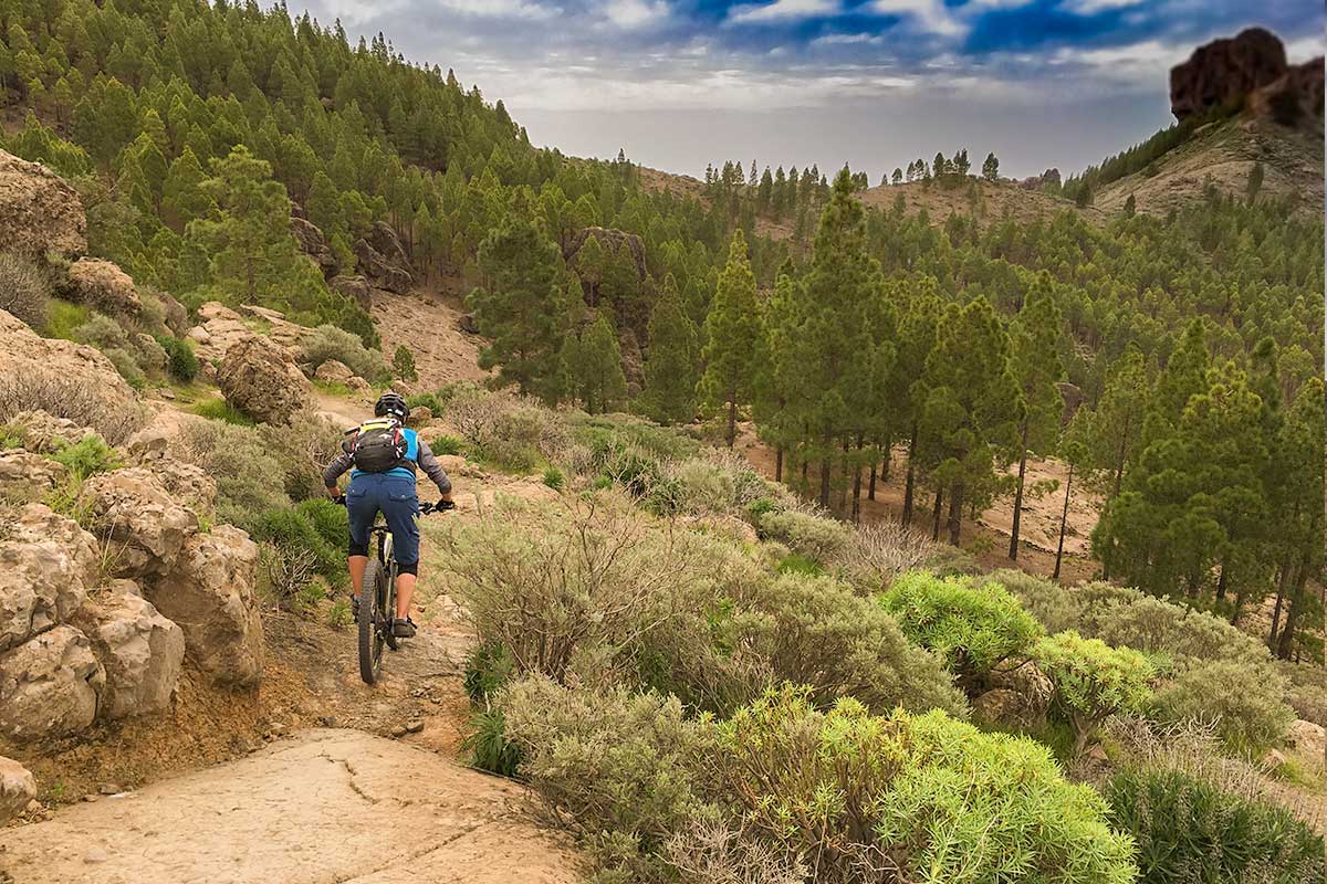 Gran Canaria Trails