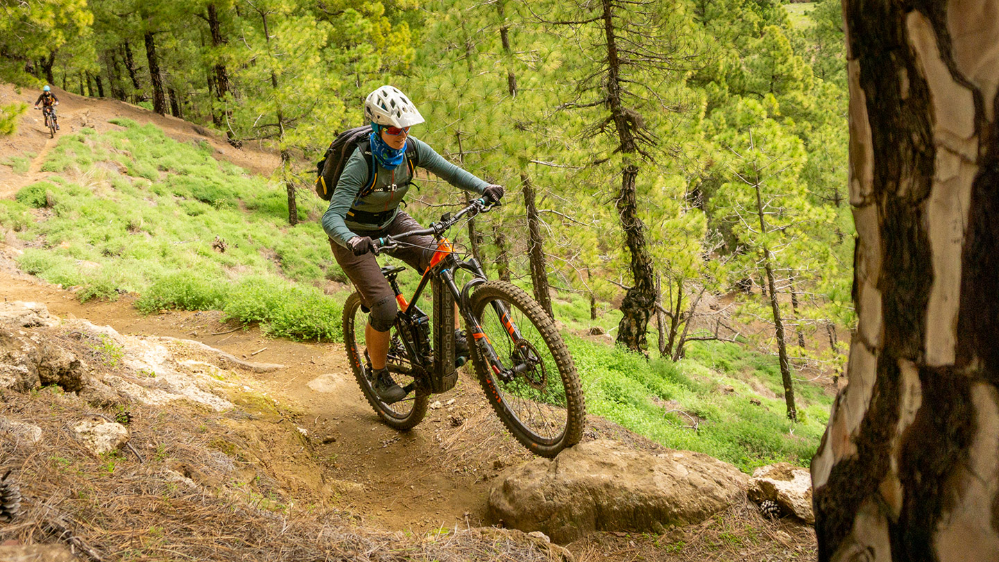 Flowige Abschnitte im Pinienwald