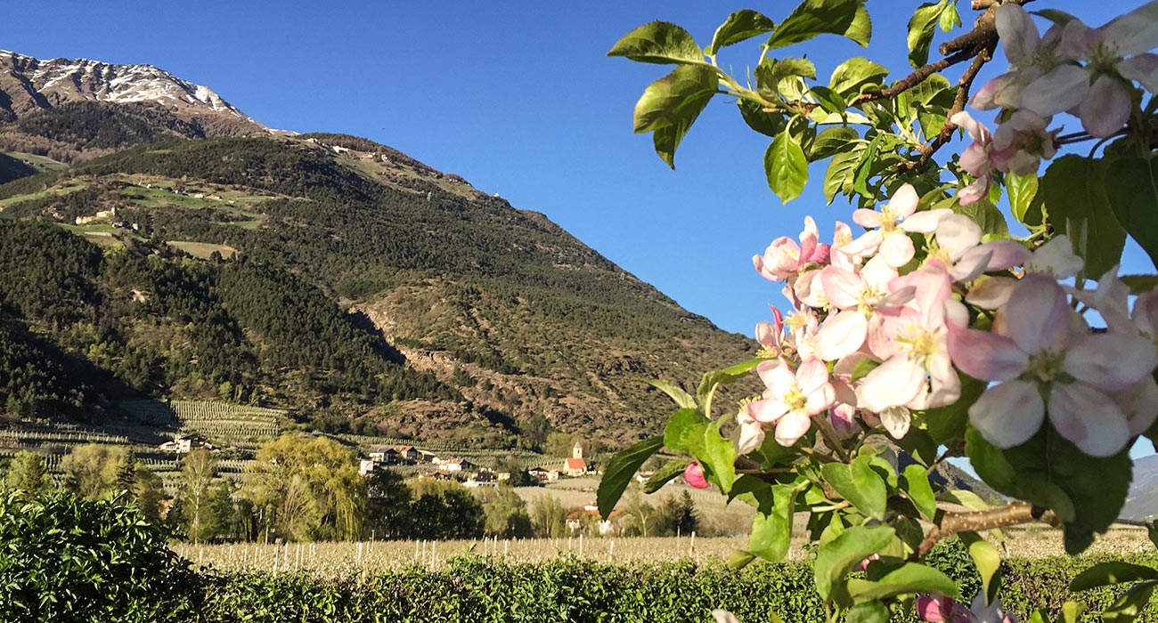 Saisonsstart Vinschgau