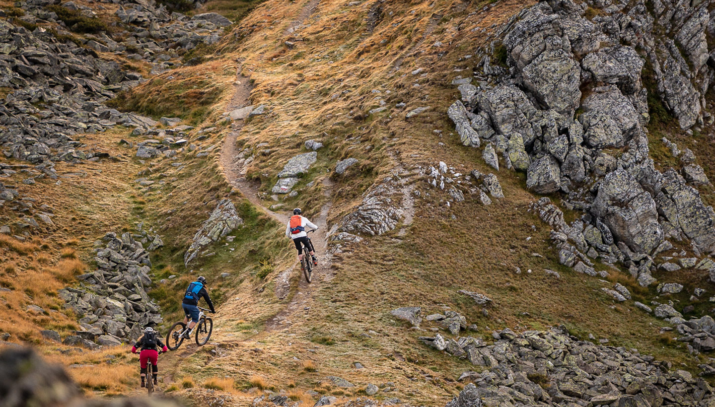 Pic by Tristan Hobson