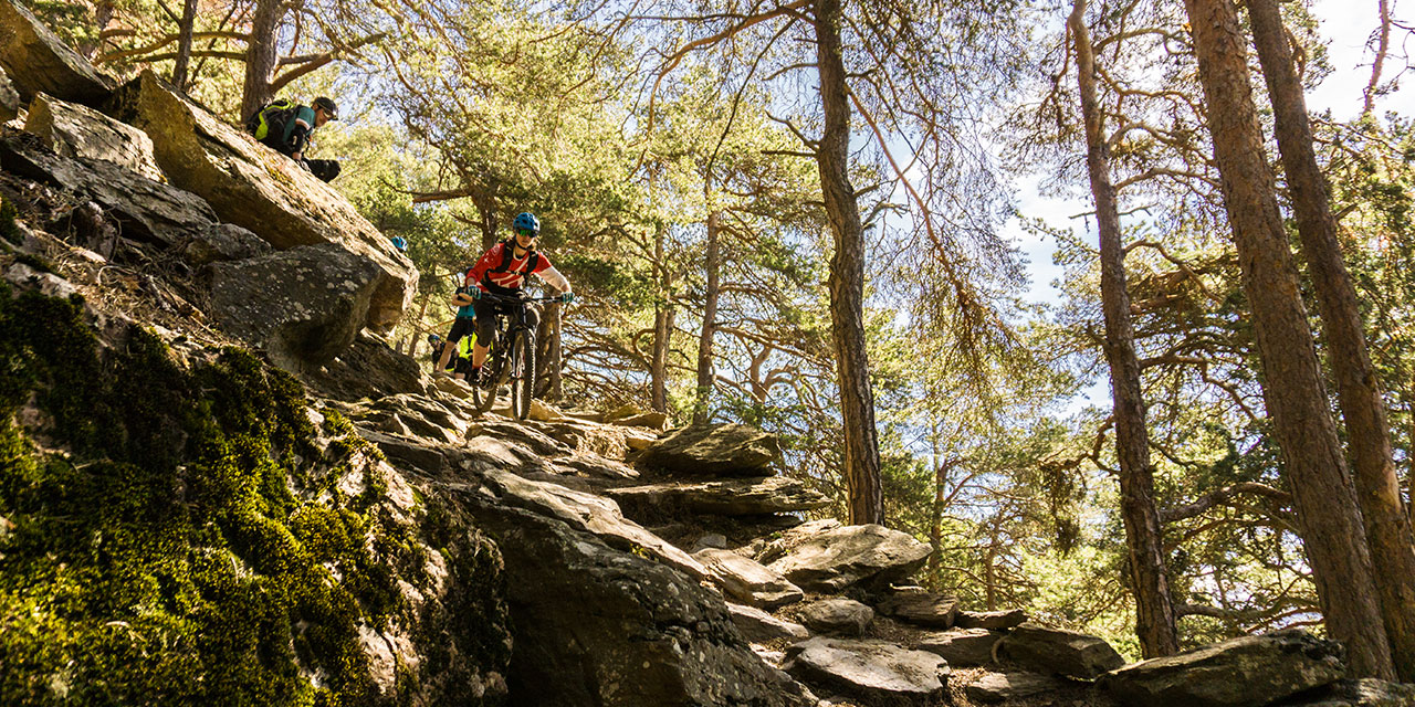 Sonnenberg Mountainbike